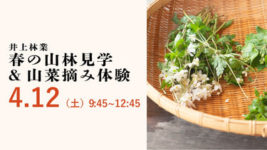 井上林業 春の山林見学&山菜摘み体験