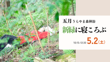 井上林業うらやま森林浴 《5月》新緑に寝ころぶ