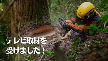 テレビ取材を受けました！