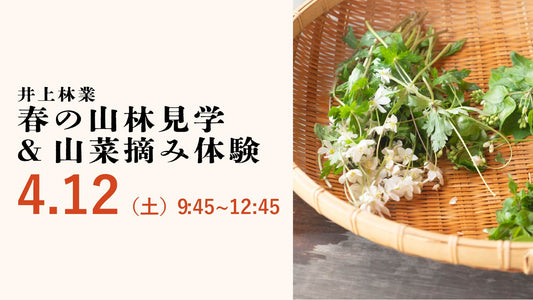 井上林業　春の山林見学＆山菜摘み体験
