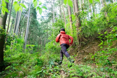 森の中でのランニング、ウォーキング体験
