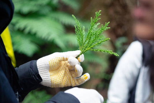 国家公務員の皆さんが来てくださいました！