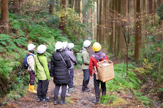 「心を整える、貸切森林浴&木工体験」モニターツアーを行いました！