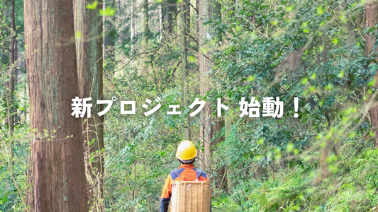 プロジェクトの概要
