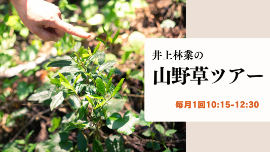井上林業の山野草ツアー