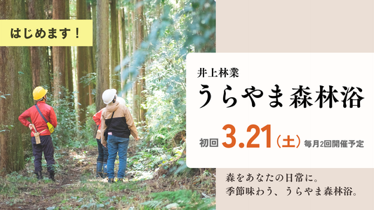 はじめます！　井上林業 うらやま森林浴