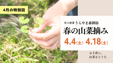 井上林業 うらやま森林浴　【特別回】春の山菜摘み