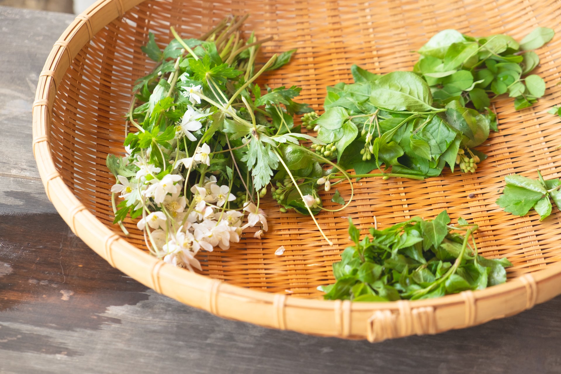 20240414sansai85_1920-2.jpg__PID:5ee9f9bd-cbde-483f-99e9-8ee527d17b78